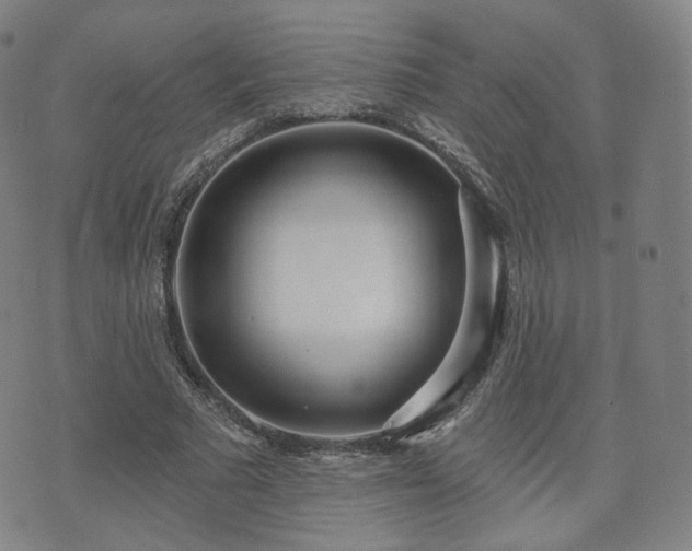 X0000071960681200607141435