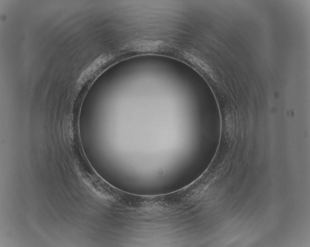 X0000071960682200607141435