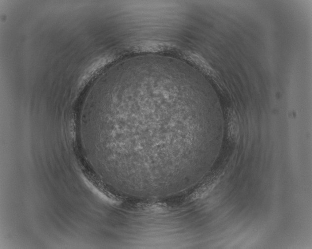 X0000071960683200607141435