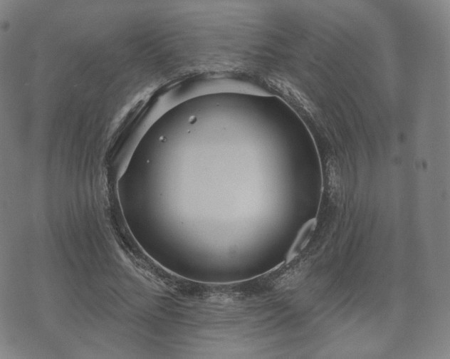 X0000071960684200607141435