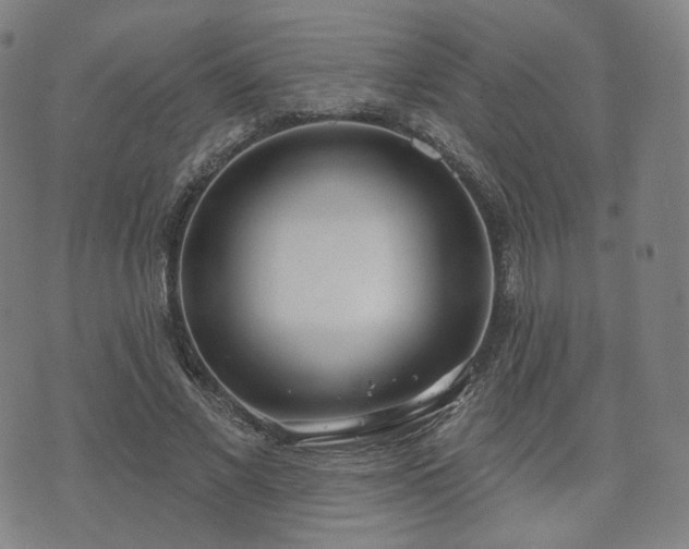 X0000071960685200607141435