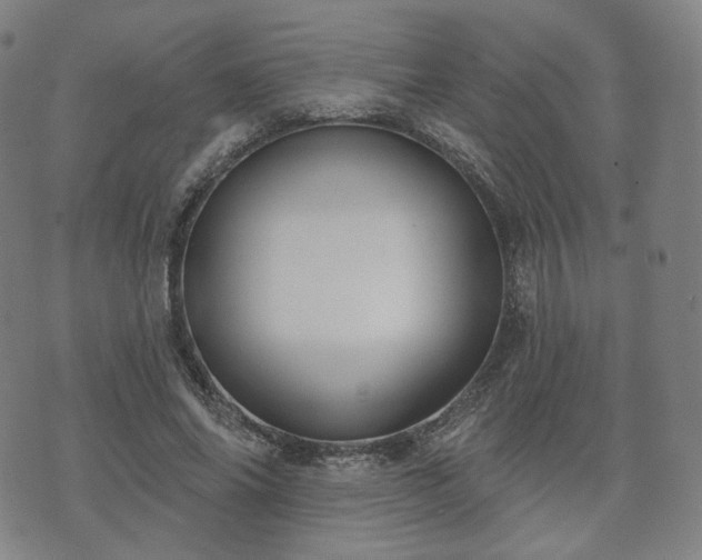 X0000071960686200607141435