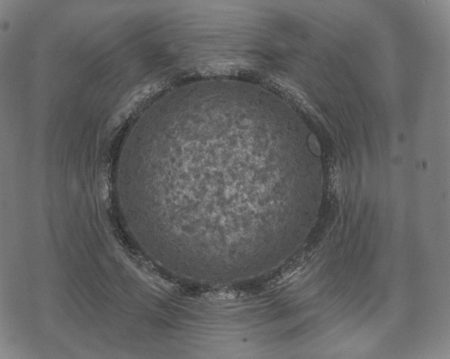 X0000071960687200607141435