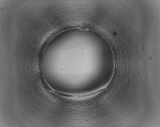 X0000071960688200607141435