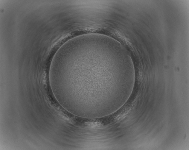 X0000071960689200607141435