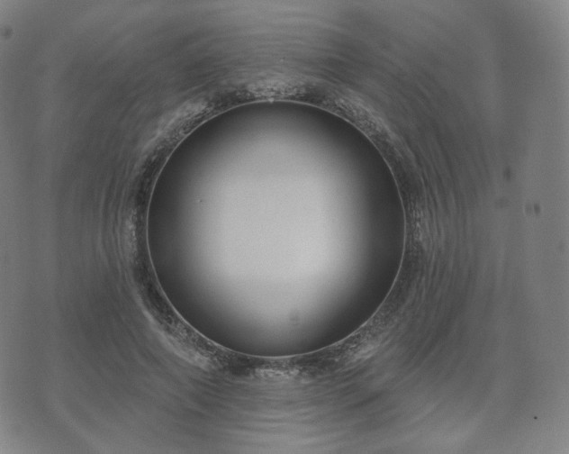 X0000071960690200607141435