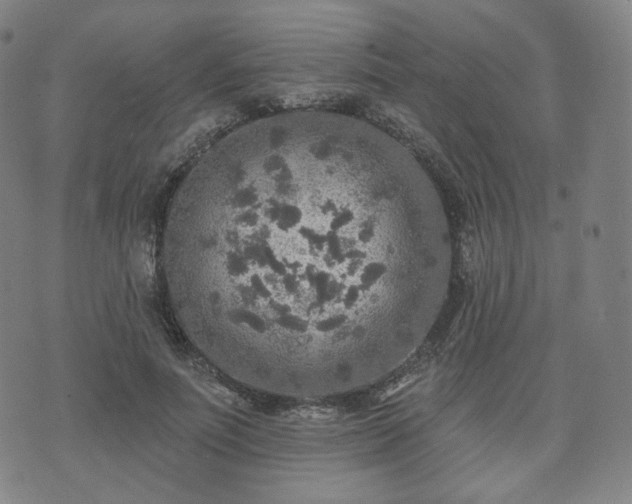 X0000071960691200607141435