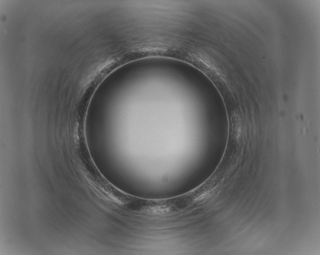 X0000071960692200607141435