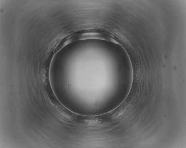 X0000071960693200607141435