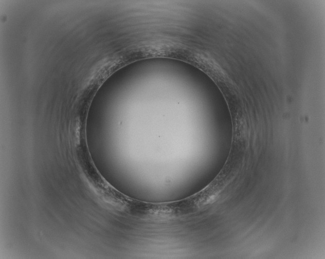 X0000071960694200607141435