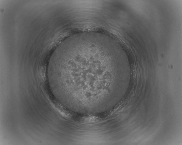 X0000071960695200607141435