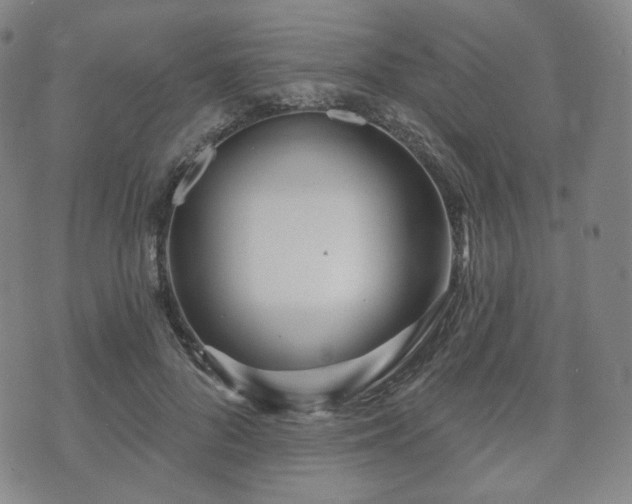 X0000071960696200607141435