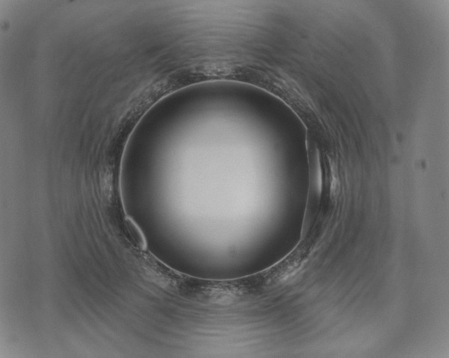 X0000071960697200607141435