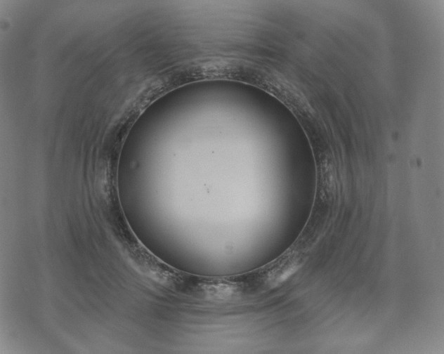 X0000071960698200607141435