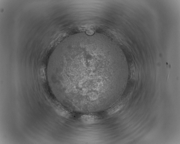 X0000071960699200607141435