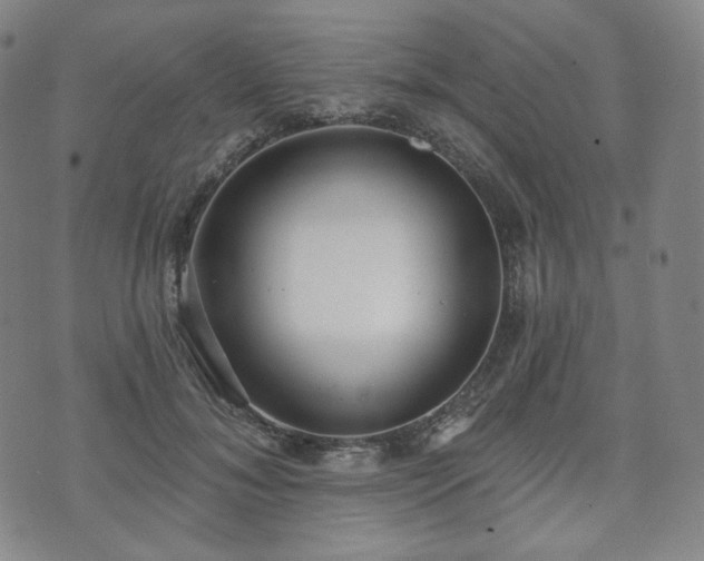 X0000071960700200607141435