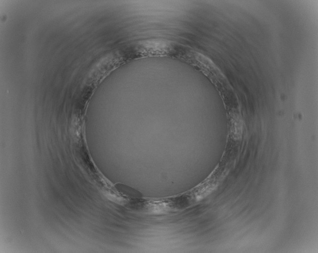 X0000071960701200607141435