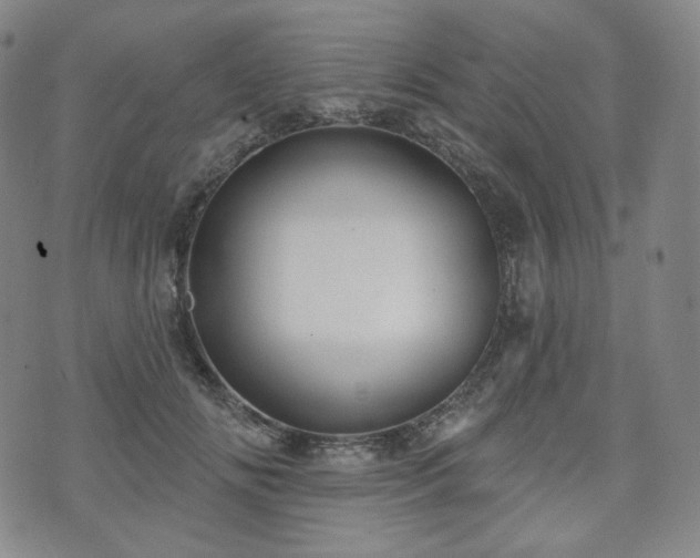 X0000071960702200607141435