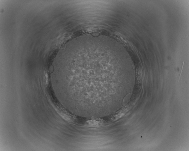 X0000071960703200607141434