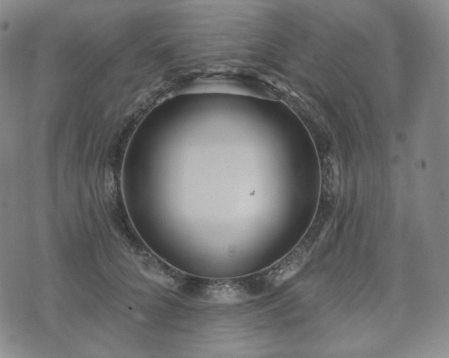 X0000071960704200607141434