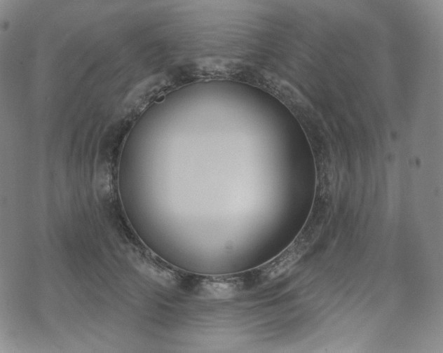 X0000071960706200607141434