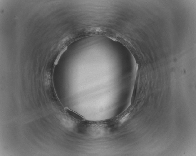 X0000071960708200607141434