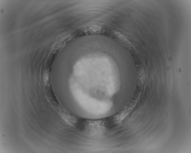 X0000071960709200607141434