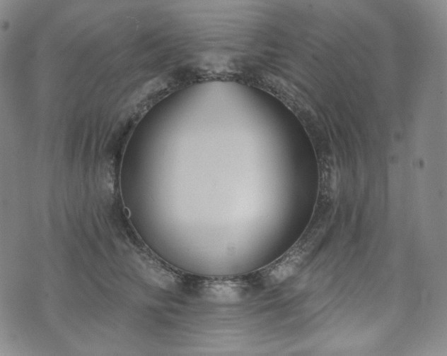 X0000071960710200607141434