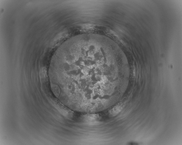 X0000071960711200607141434