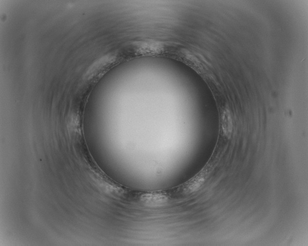 X0000071960714200607141434