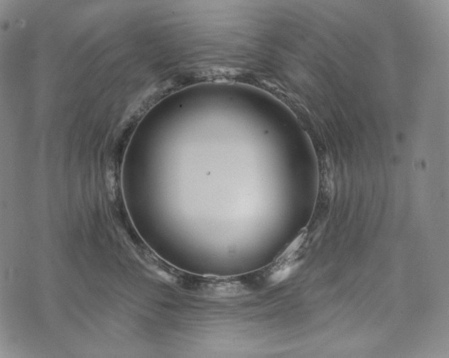 X0000071960716200607141434