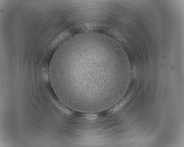 X0000071960719200607141434