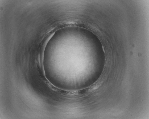 X0000071960720200607141434