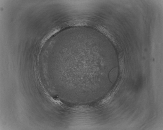 X0000071960721200607141433