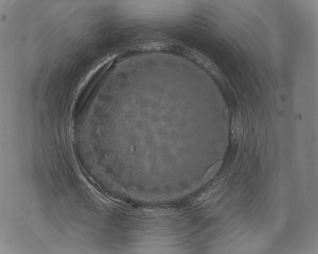 X0000071960722200607141433