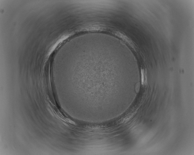 X0000071960723200607141433