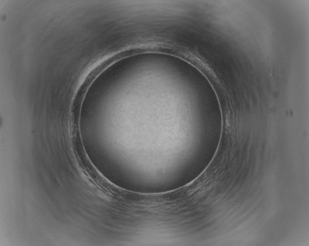 X0000071960724200607141433