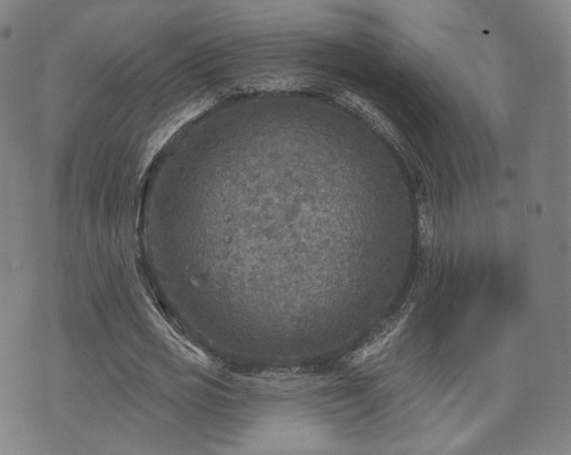 X0000071960725200607141433