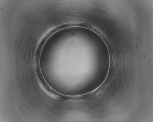 X0000071960726200607141434