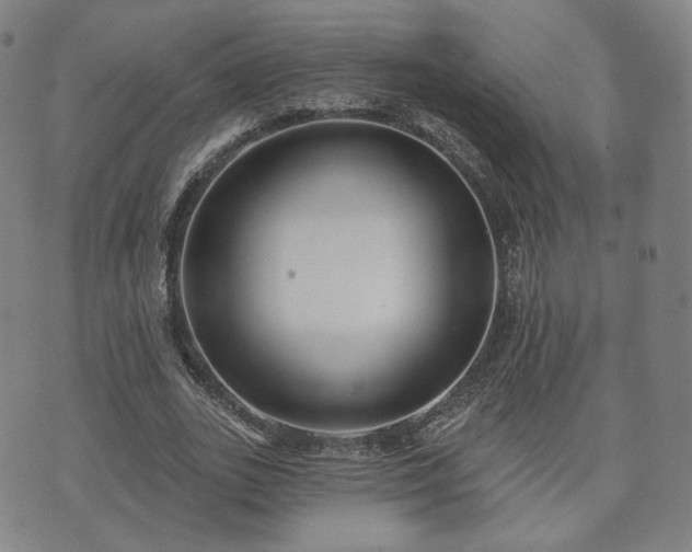 X0000071960727200607141434