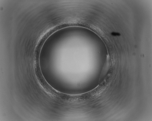 X0000071960728200607141434