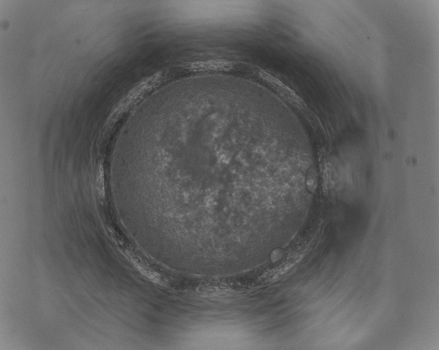 X0000071960729200607141434