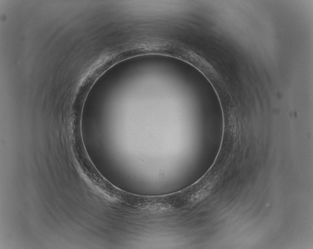 X0000071960730200607141434