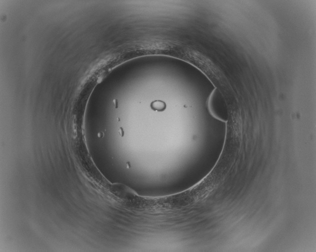 X0000071960731200607141434