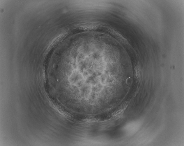 X0000071960733200607141434