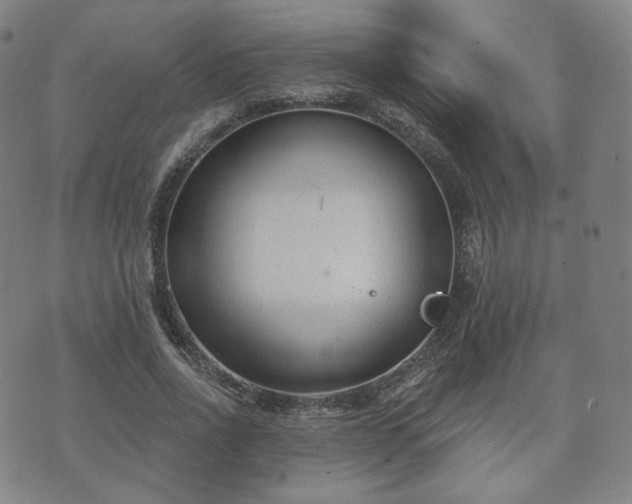 X0000071960734200607141434