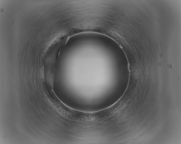 X0000071960735200607141434