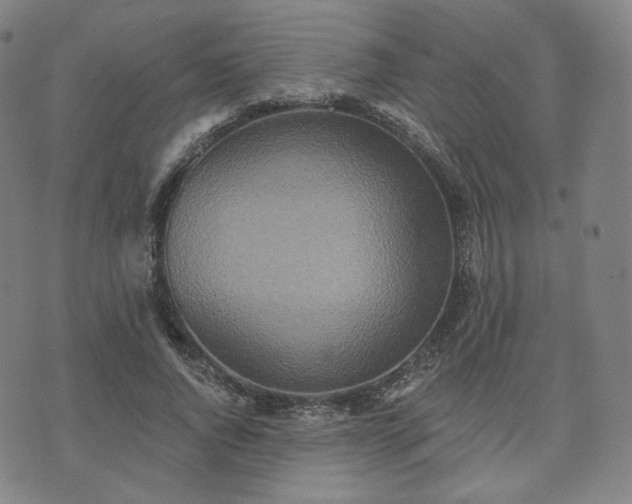 X0000071960736200607141434