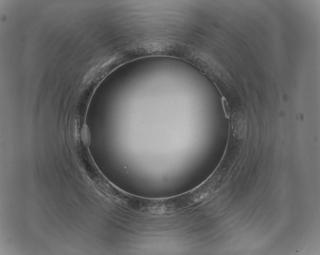 X0000071960740200607141434