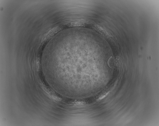 X0000071960741200607141434